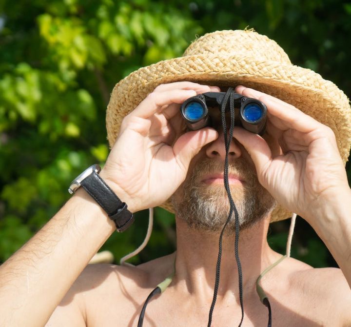 8 Fun Things to Do in Key Largo - Florida Keys Wild Bird Rehabilitation Center