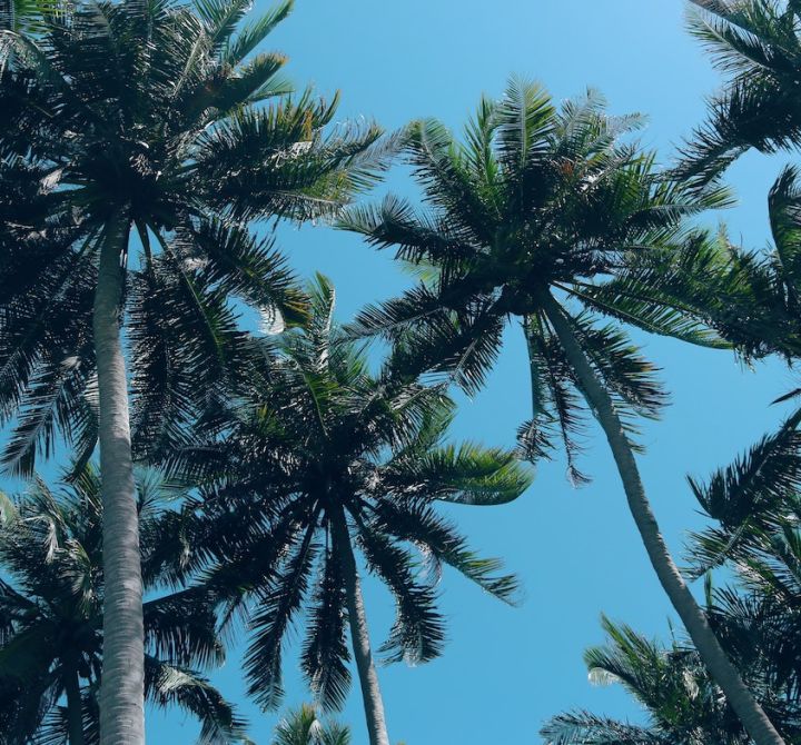 Top Things to do in Coconut Grove, FL - 2. Barnacle Historic State Park