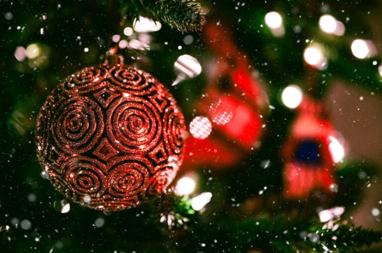 Celebrate the Holiday Season
