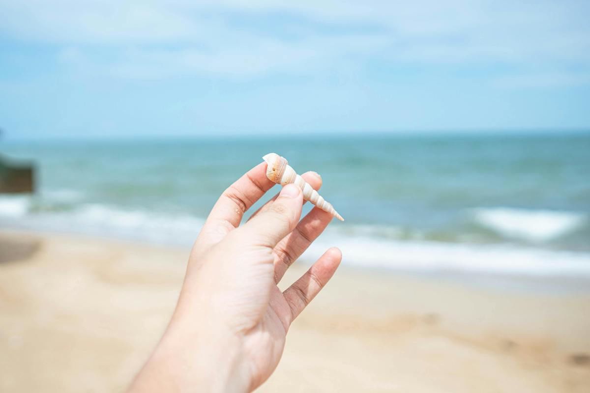 The Ultimate Treasure Island Bucket List: 25 Things You Must Do