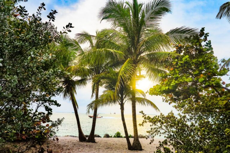 Which is Better for Vacation: Key Largo or Key West?